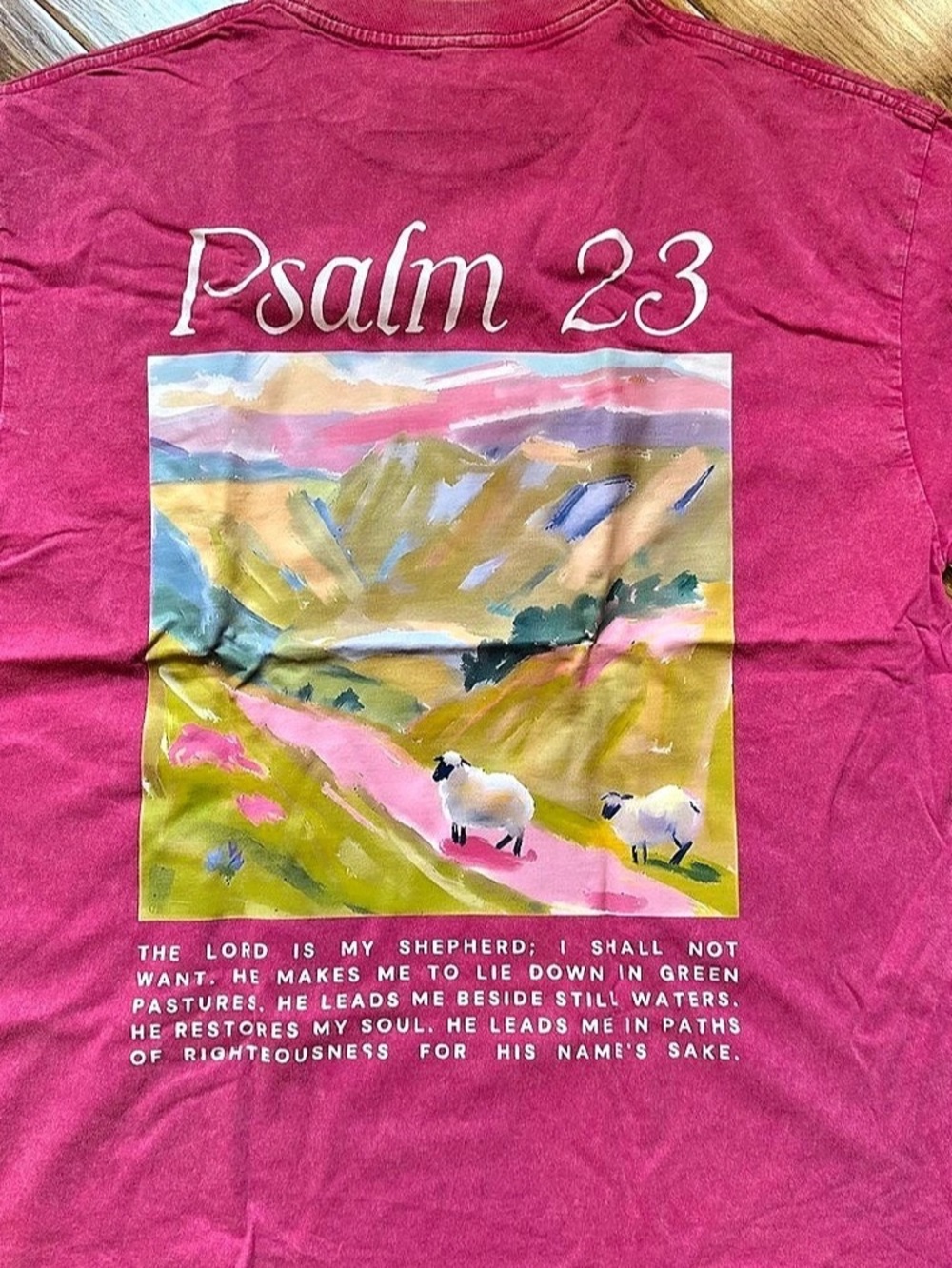 Psalm 23 graphic tee Graphic Short Sleeve Tee in Pink Size Medium NWT